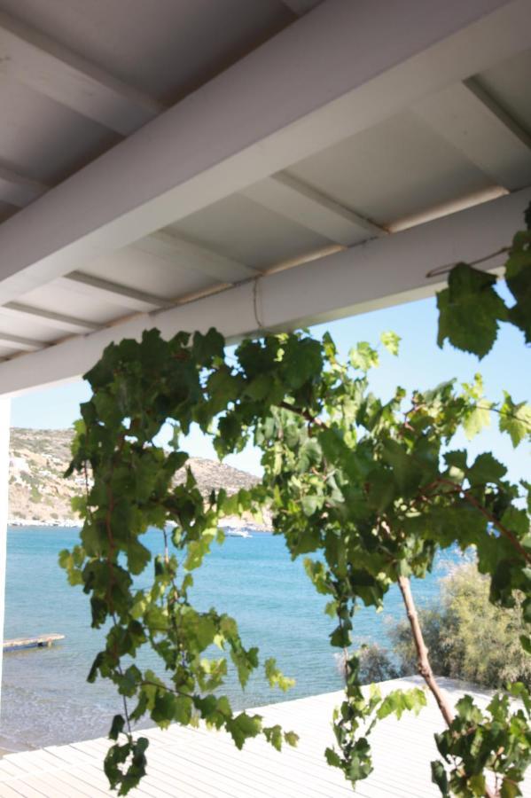 Cyclades Beach Apartments Chrisopigi  Eksteriør bilde